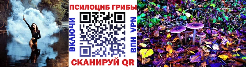 купить наркотики сайты  Короча  Галлюциногенные грибы MAGIC MUSHROOMS 